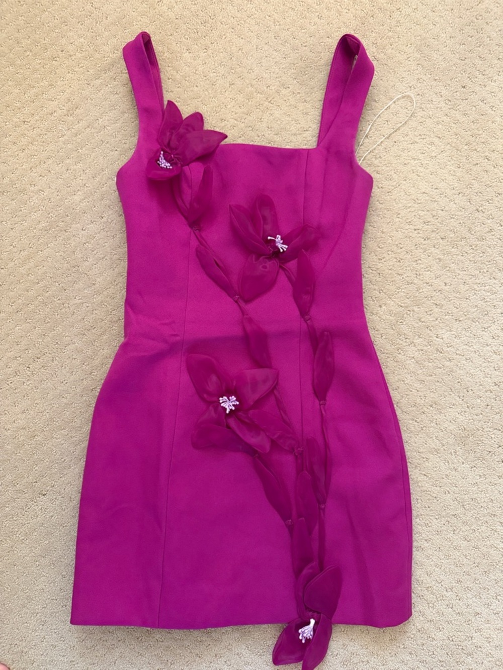Elliat women’s XS mini dress NEVER WORN